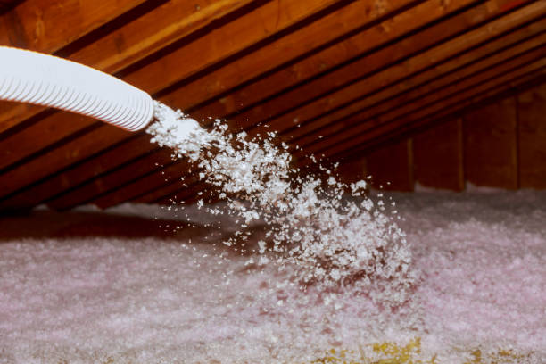 Best Residential Insulation Services  in Sea Cliff, NY